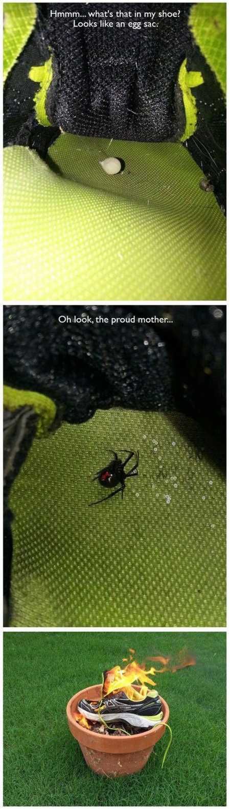 Funny Pics With Captions 135