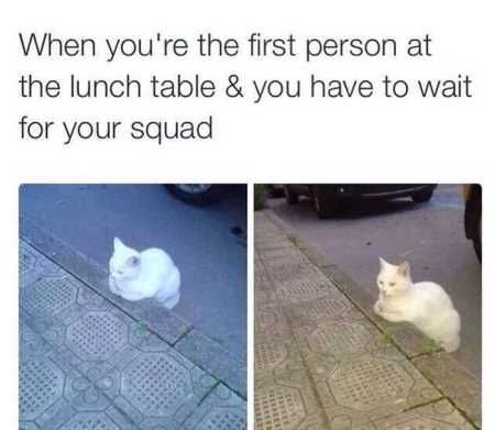 Funny Pictures Cant Stop Laughing 216
