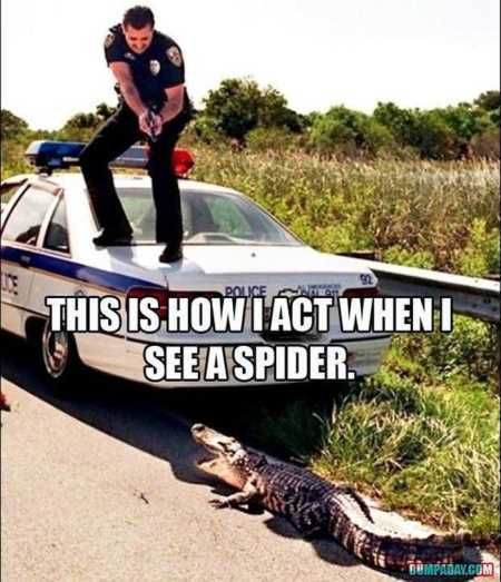 Funny Pictures Cant Stop Laughing 227