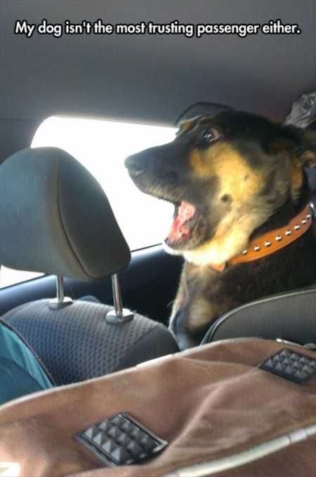 Funny Pictures Cant Stop Laughing 237