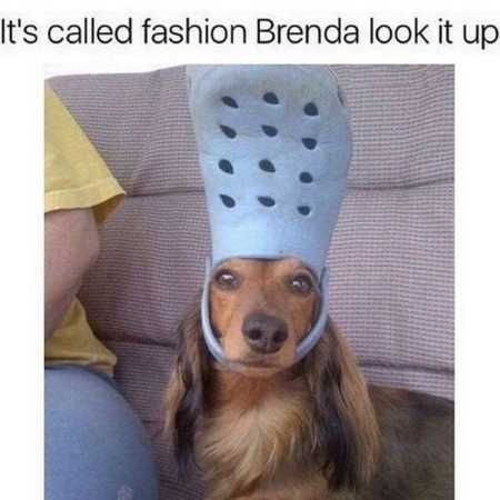 Funny Pictures Youre Going To Love 408