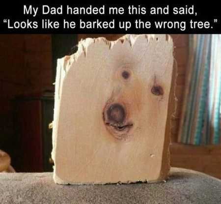 Funny Pictures Youre Going To Love 417