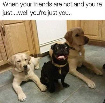 Funny Pictures Youre Going To Love 423