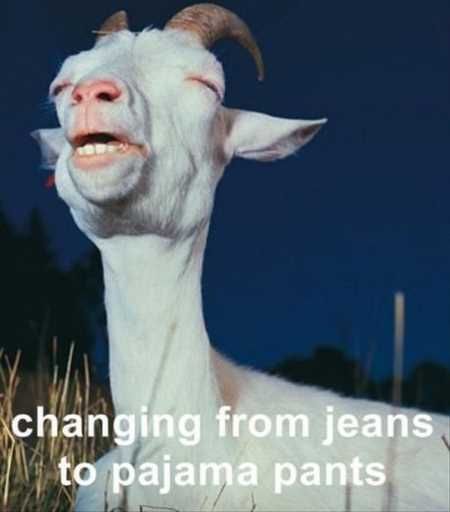 Funny Pictures Youre Going To Love 433