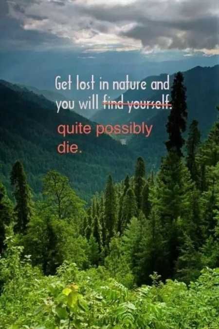 Funny Pictures Youre Going To Love 438