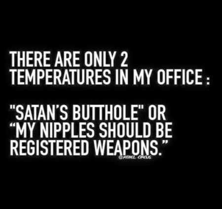 Funny Quotes And Sayings 413