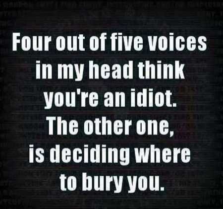 Funny Quotes And Sayings 423