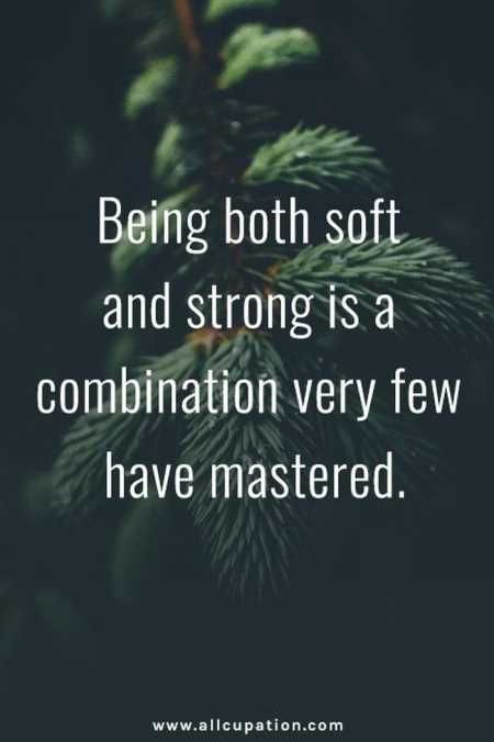 Motivational And Inspirational Quotes Youre Going To Love 415