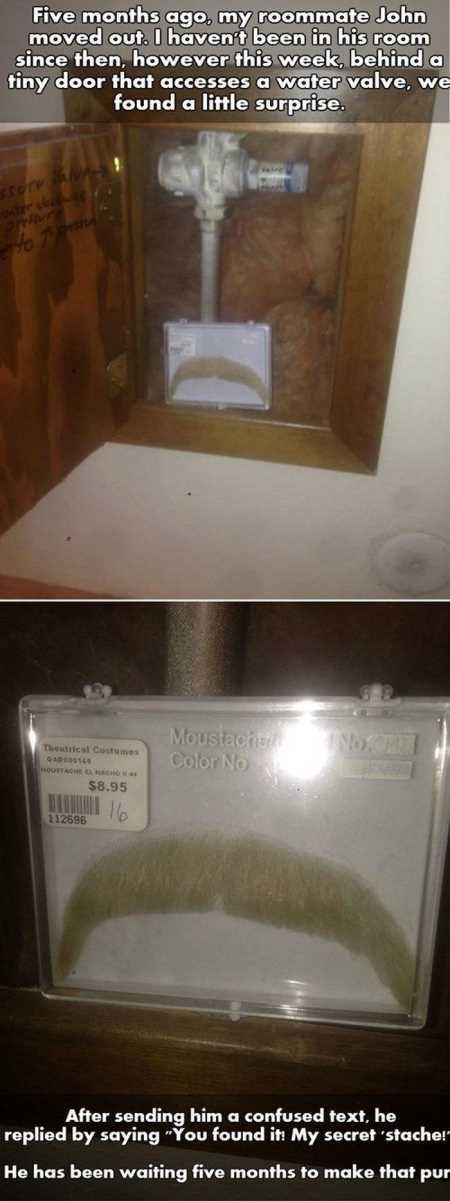 The Funniest Pictures You Will See All Day 326