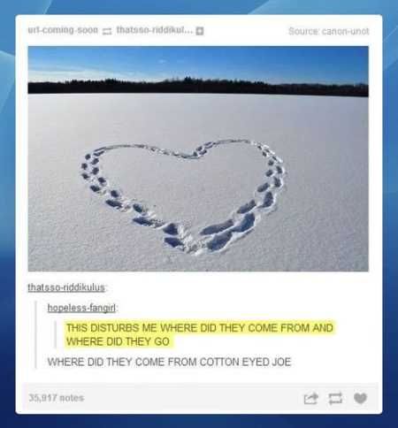 The Funniest Pictures You Will See All Day 334