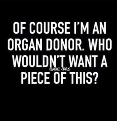 The Funniest Quotes Ever 314
