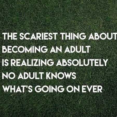 The Funniest Quotes Ever 325