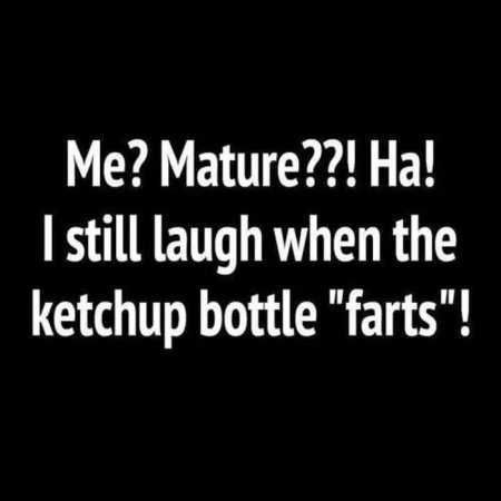 Funny Quotes And Sayings 523