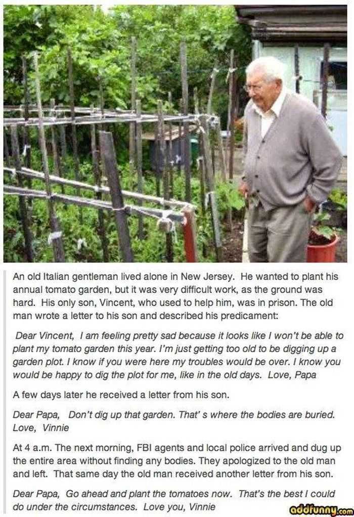 12 Funny Jokes And Short Stories Old Italian