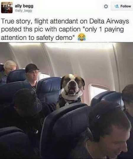 Hilarious Pictures 503