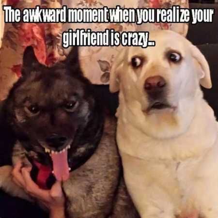 Hilarious Pictures 504
