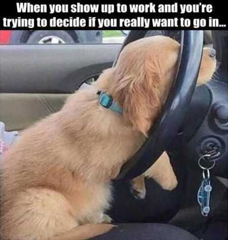 Hilarious Pictures 511