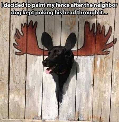 Hilarious Pictures 513