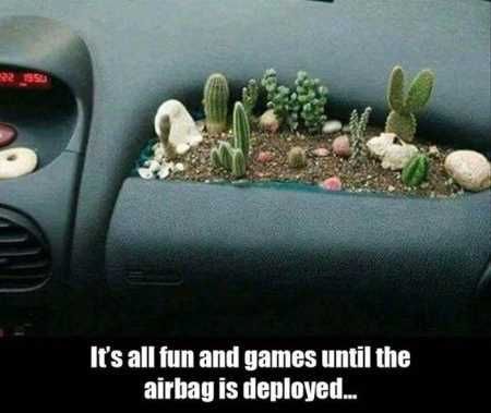 Hilarious Pictures 515