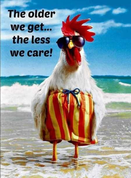 Hilarious Pictures 525