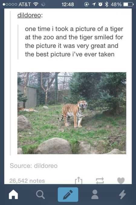 The Funniest Animal Pics Ever 601