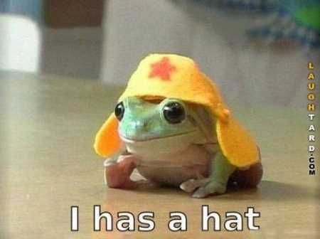 The Funniest Animal Pics Ever 605