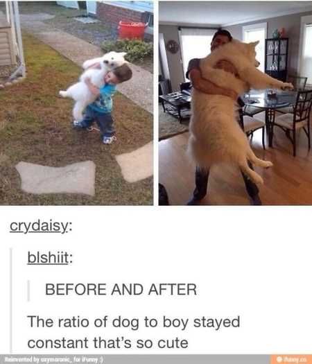 The Funniest Animal Pics Ever 613