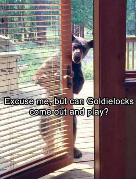 The Funniest Animal Pics Ever 619