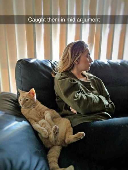 The Funniest Animal Pics Ever 622