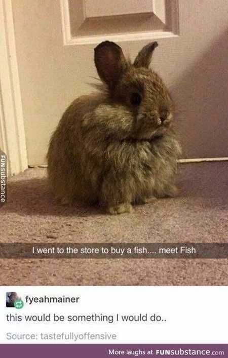 The Funniest Animal Pics Ever 638