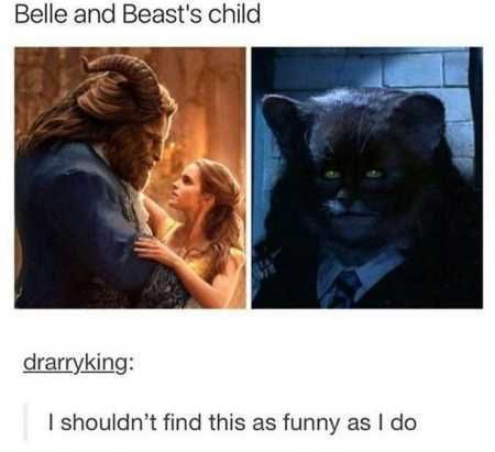 The Funniest Pics Ever 612