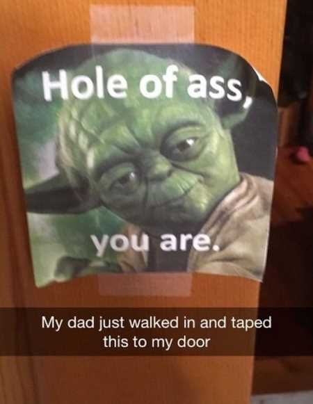 The Funniest Pics Ever 637