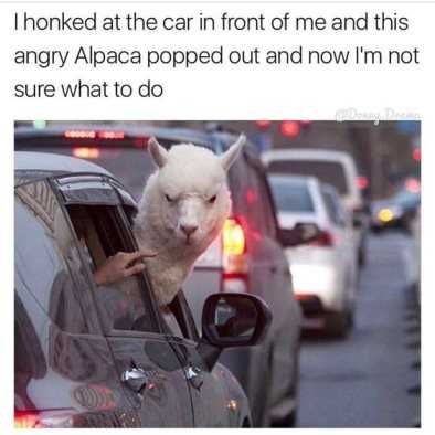 9 3