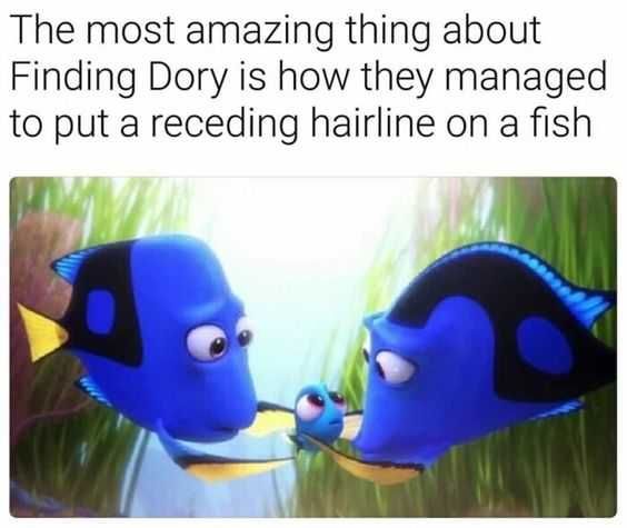 Disney Findingdory