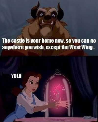 Disney Yolo