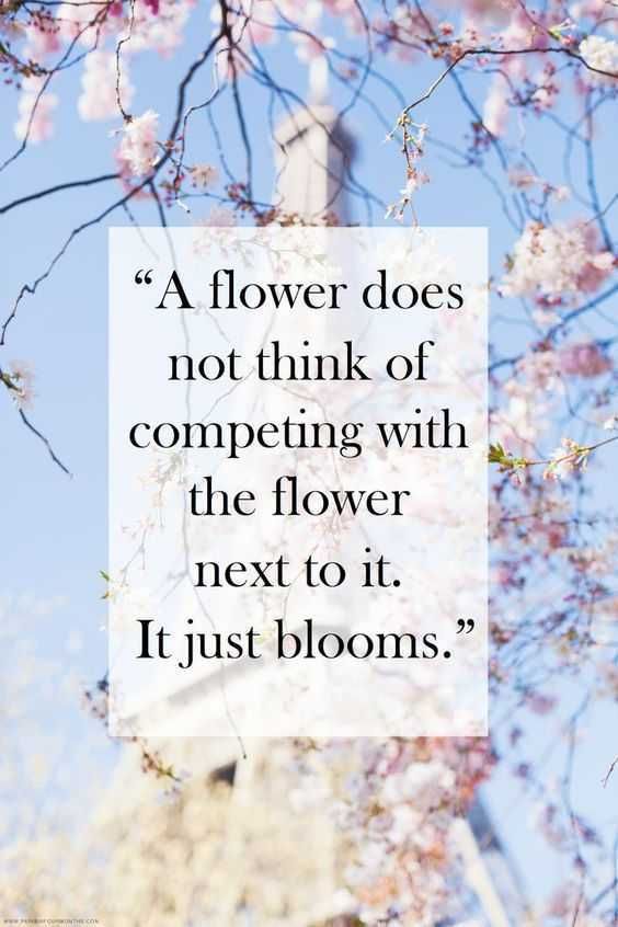 Flower Compete