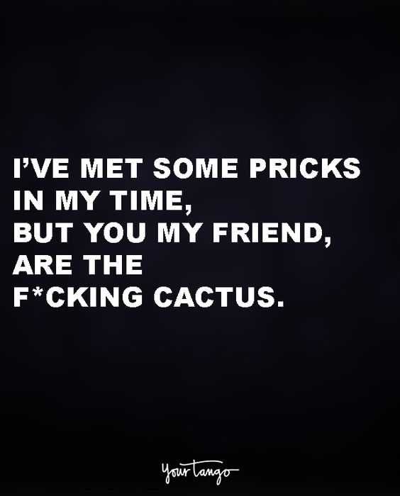 Funny Cactus