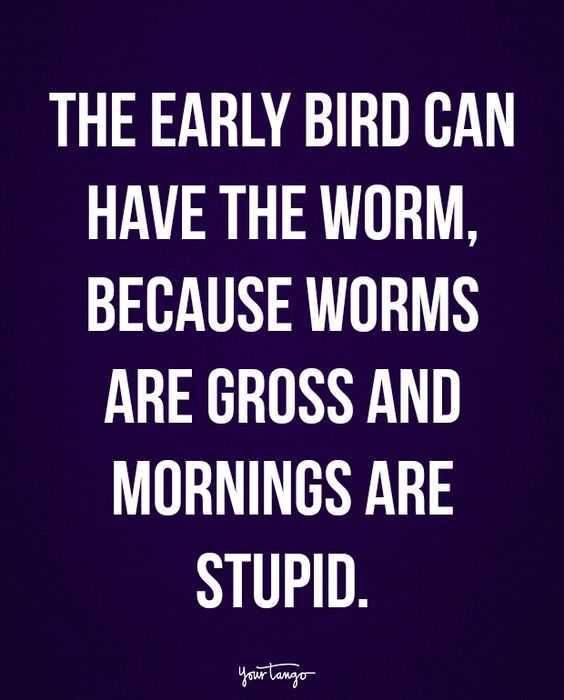 Funny Morning