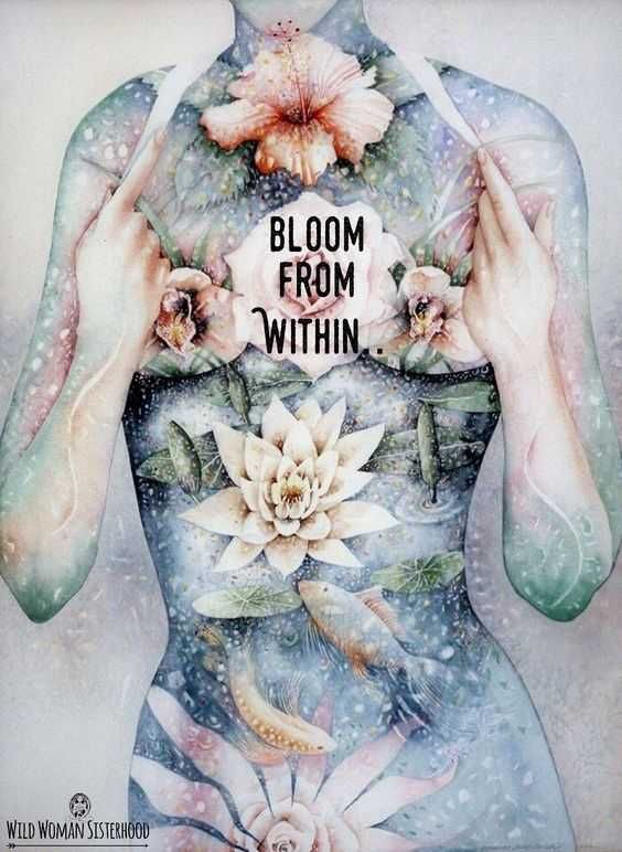 Illustrated Bloom