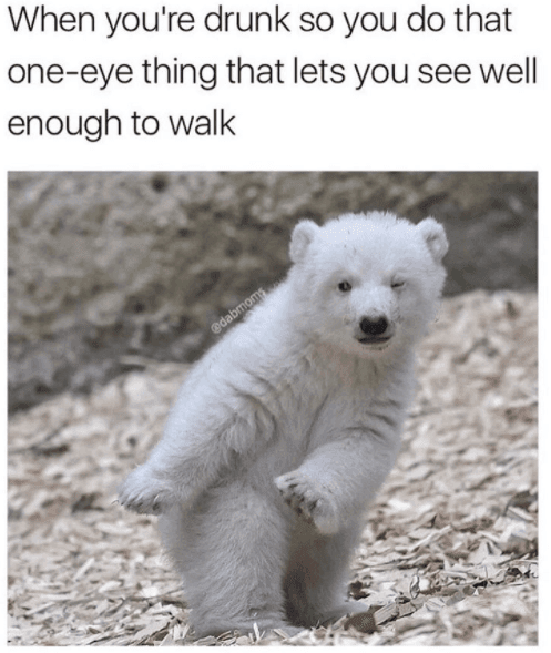 Image050