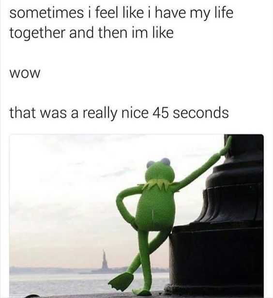 Kermit 45