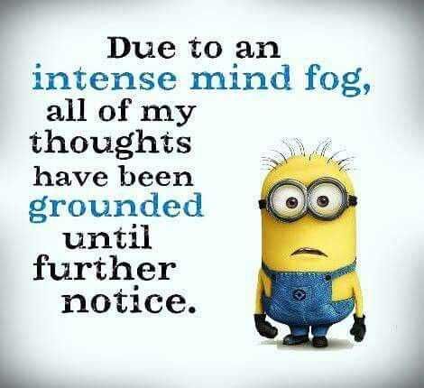 Minion Mindfog