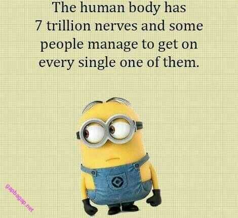 Minion Nerves