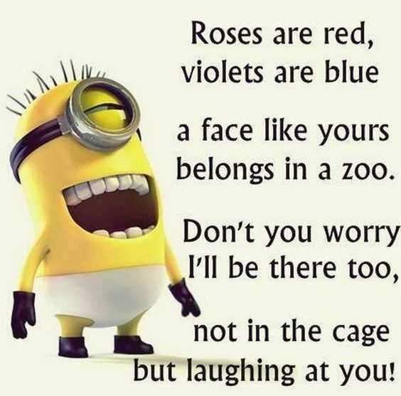 Minion Zoo