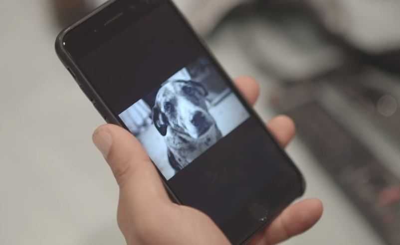 Capture5