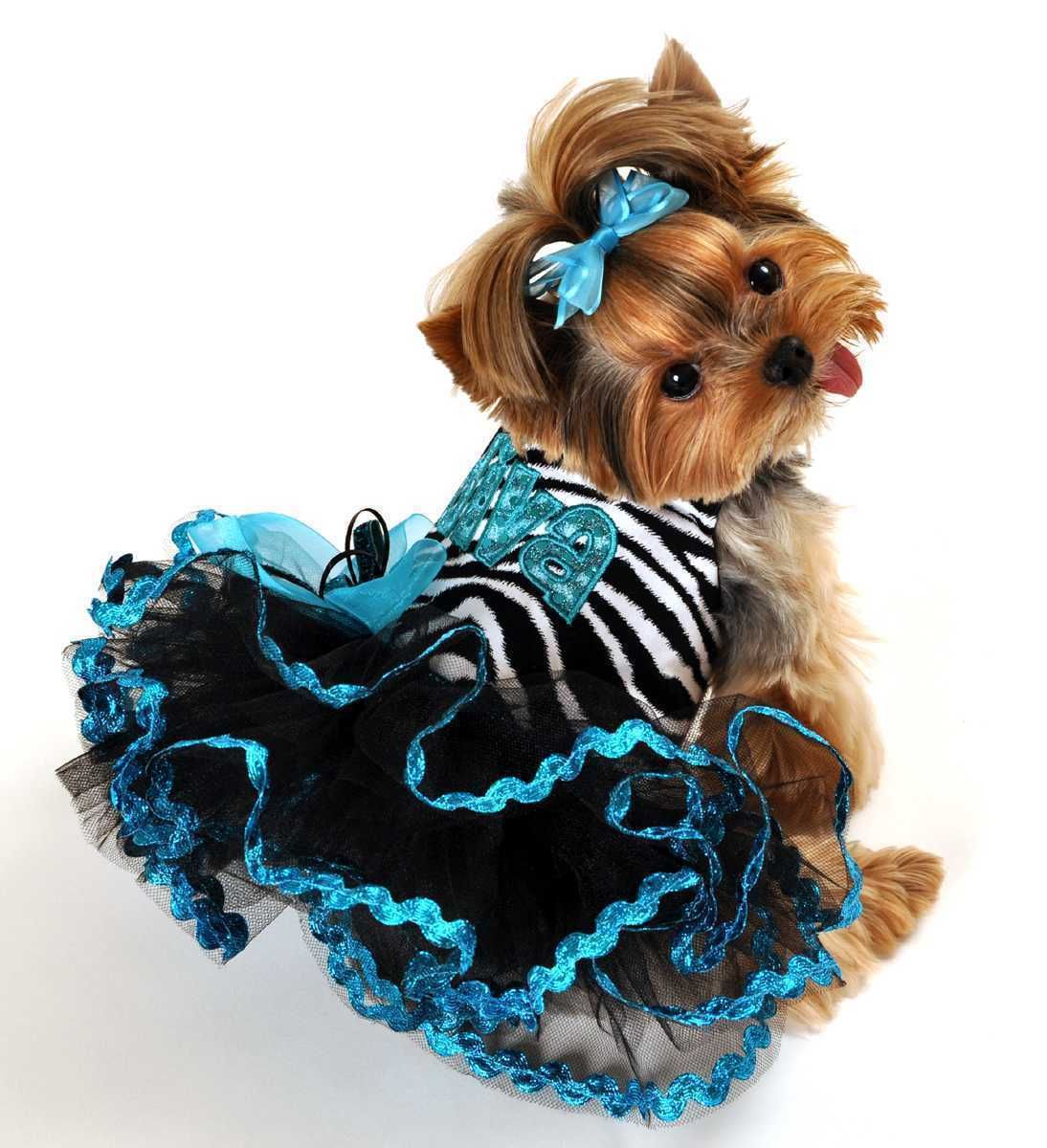 Animal Dogdress