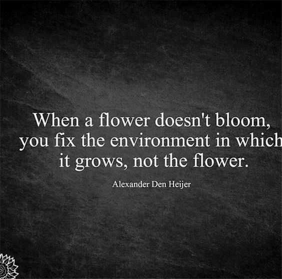 Changequote Flower