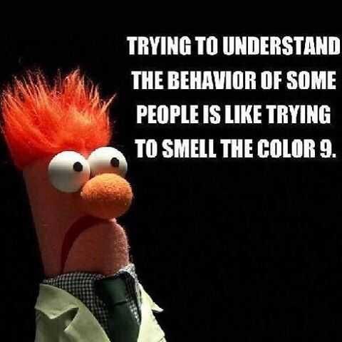 Funny Behavior9