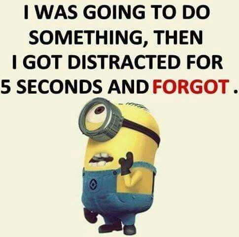 Minion Distracted