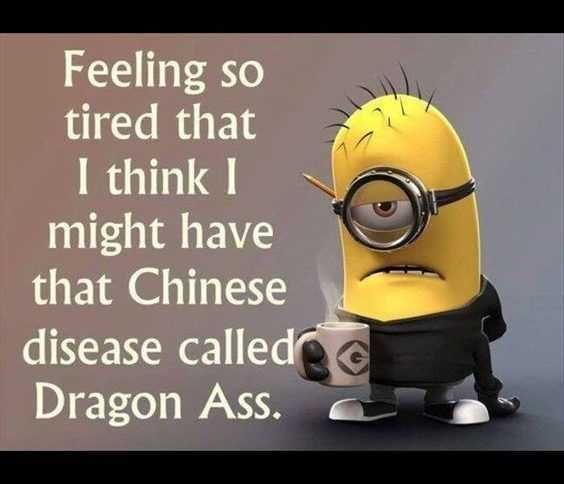 Minion Dragon